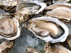 Oysters & Champagne Farm Tour